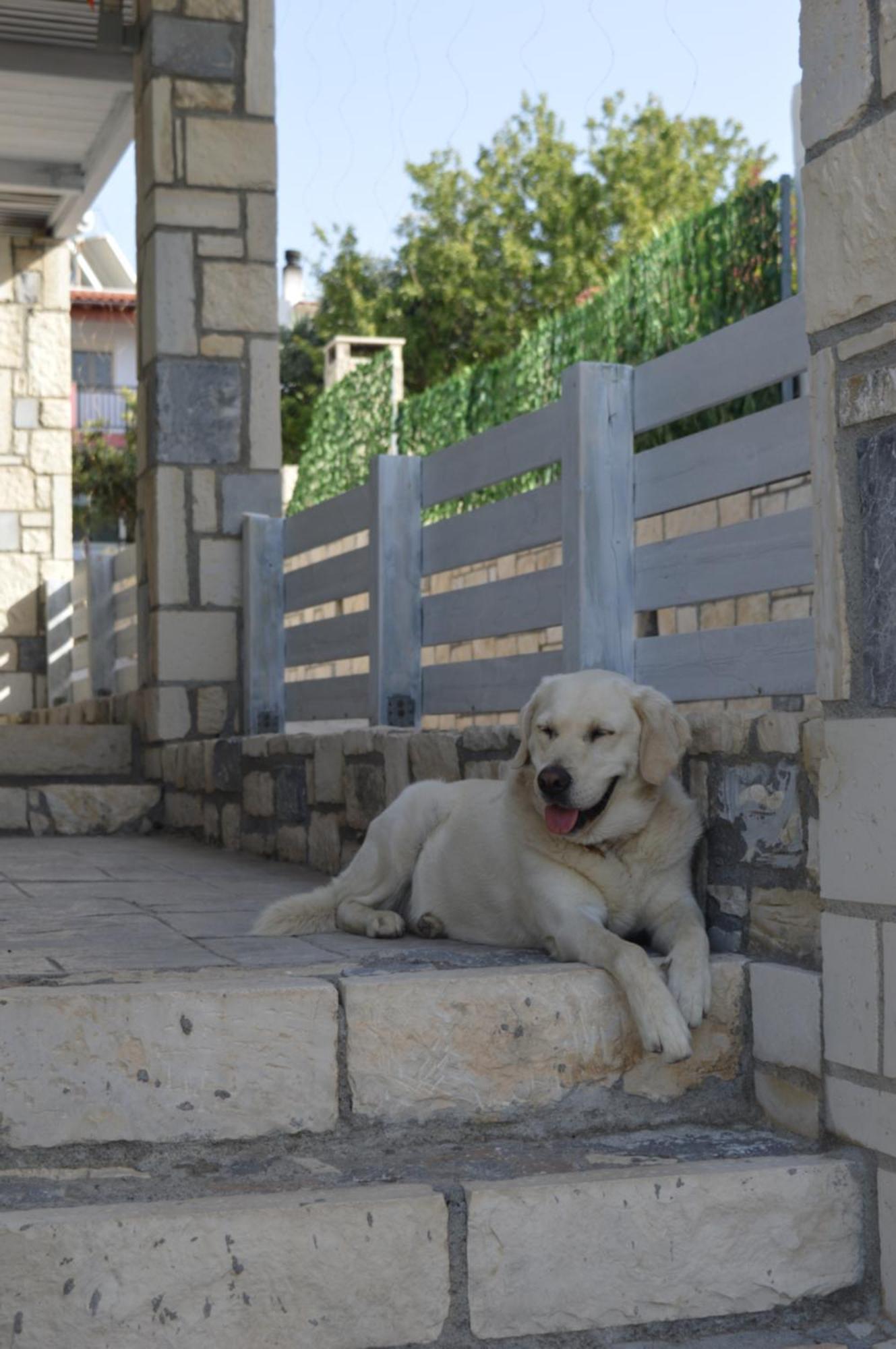 Aquarock Villa With Private Pool Prassás 외부 사진
